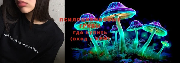 марки lsd Белокуриха