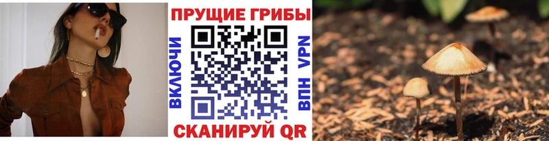 закладки  Игра  ссылка на мегу вход  Галлюциногенные грибы Psilocybe 