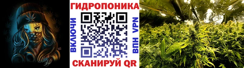 где продают наркотики  Игра  Бошки Шишки семена 
